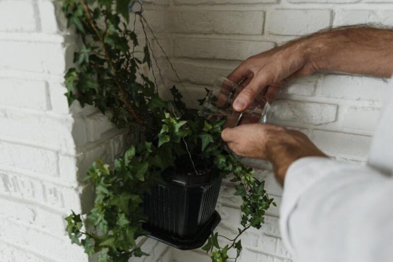 Gele bladeren bij je plant door teveel water: oorzaken en oplossingen
