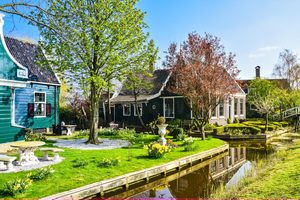 Meer privacy in de tuin zonder schutting of grote verbouwing