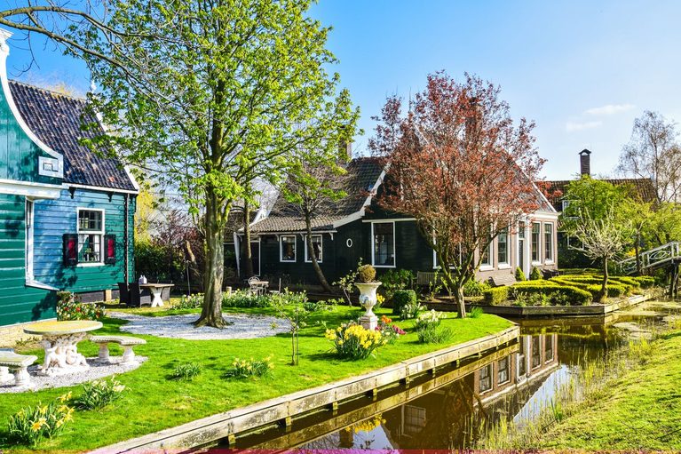 Meer privacy in de tuin zonder schutting of grote verbouwing